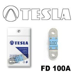 FD100A Tesla